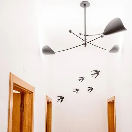 Beautiful Near The Center Of Apartment
